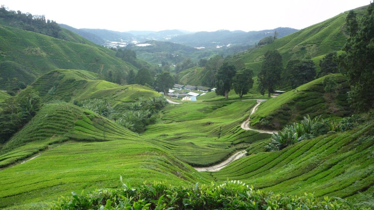 The Quintet Cameron Highlands By Tulip Tanah Rata Exteriér fotografie